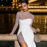 Foster Net Rhinestone Mesh Dress