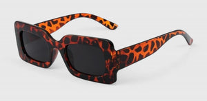 Grey Leopard